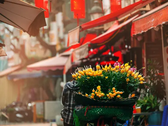Blomster på en cykel i Hoi An, Vietnam