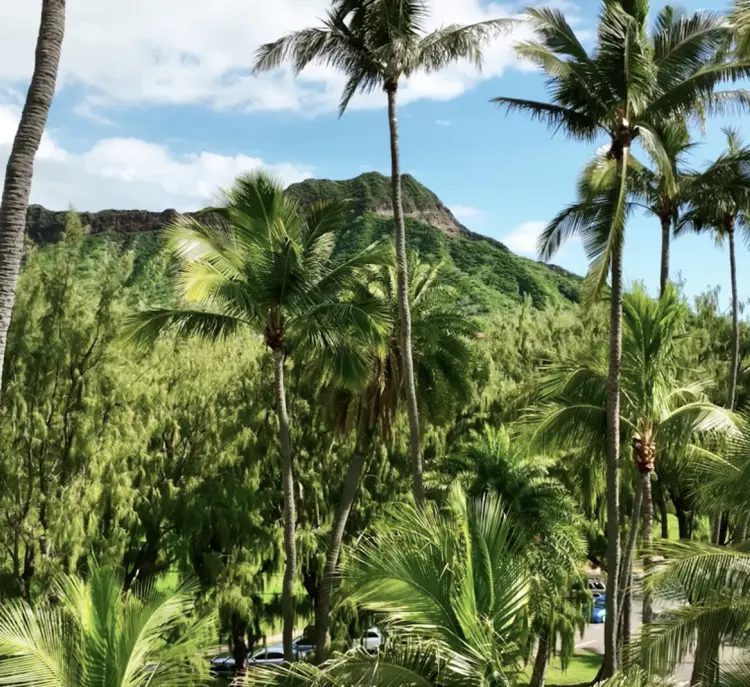oahu-hero.png (1)