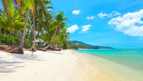 Lækker strand i Vietnam - An Bang Beach