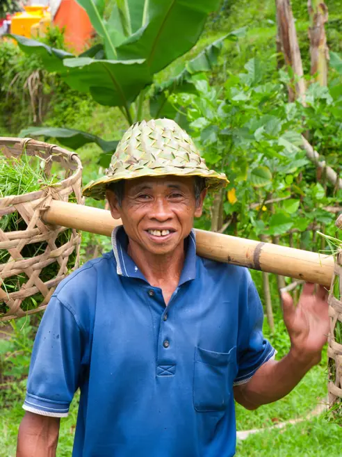 Mand der arbejder i rismarkerne på Bali