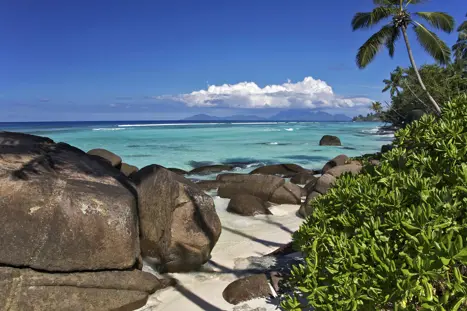 Anse Cipailles, Silhouette