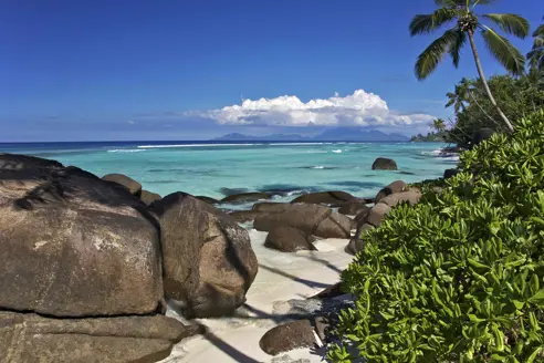 Anse Cipailles, Silhouette