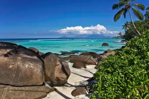 Anse Cipailles, Silhouette