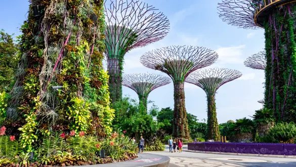 Gardens by the Bay (3)