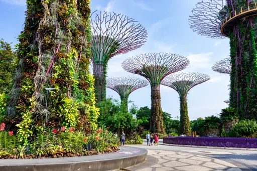 Gardens by the Bay (3)