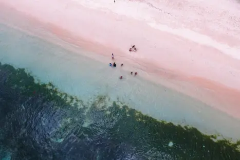 Pink Beach