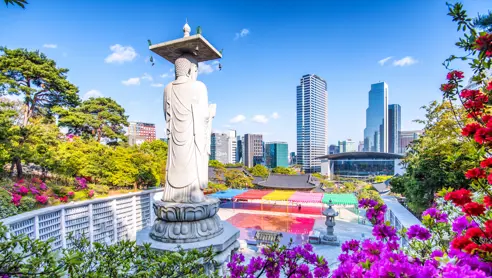 Rejser til Seoul Sydkorea