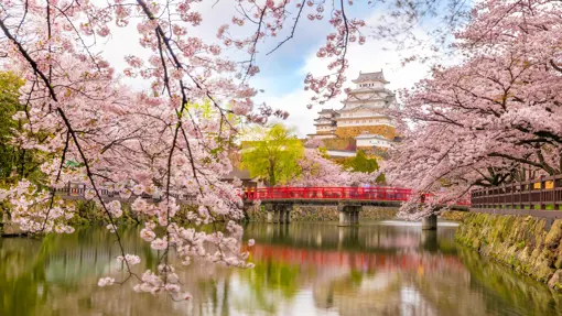 Osaka Castle Japan