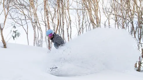Powder snow boarding på Hokkaido i Japan