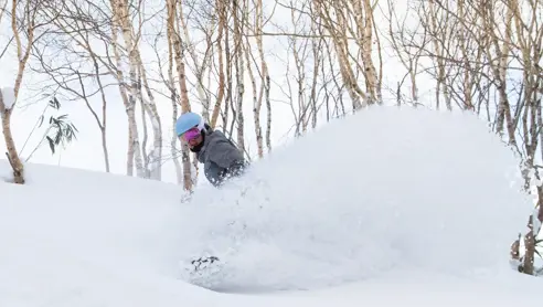 Powder snow boarding på Hokkaido i Japan