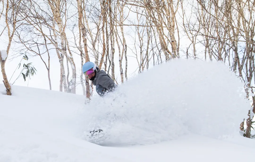 Powder snow boarding på Hokkaido i Japan