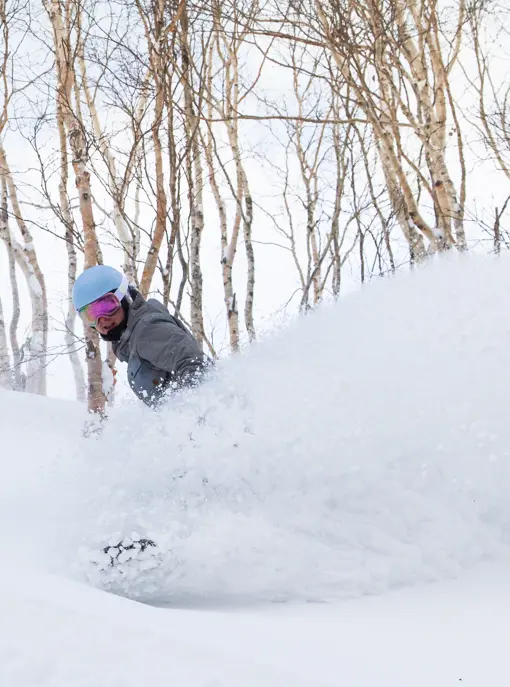 Powder snow boarding på Hokkaido i Japan