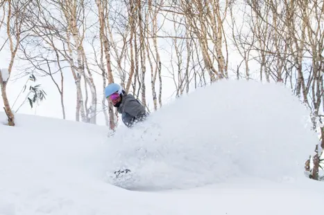 Powder snow boarding på Hokkaido i Japan