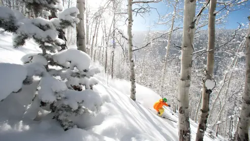 Skirejser Jackson Hole USA