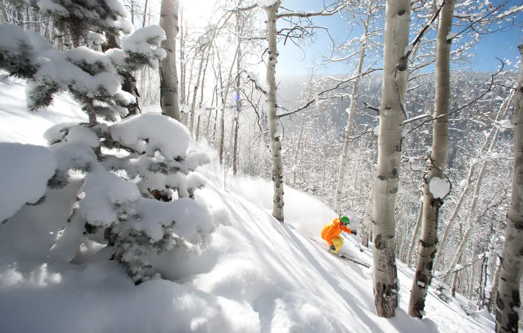 Skirejser Jackson Hole USA