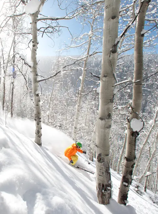 Skirejser Jackson Hole USA