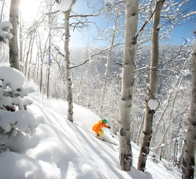 Skirejser Jackson Hole USA