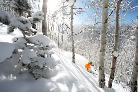 Skirejser Jackson Hole USA