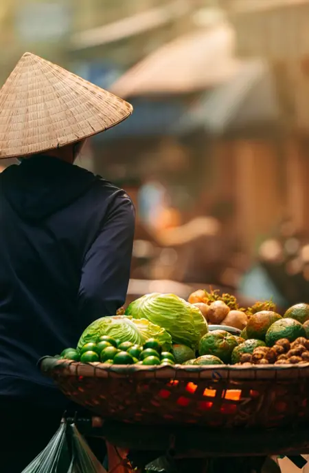 Kvinde med frugter og grøntsager i Hoi An