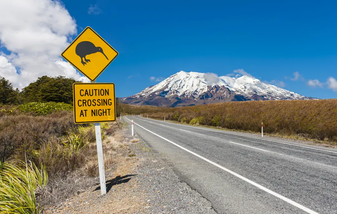 Vej i Tongariro New Zealand