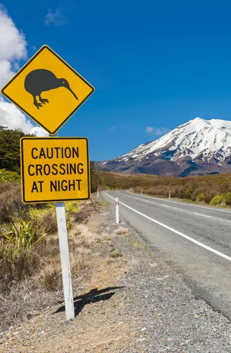 Vej i Tongariro New Zealand
