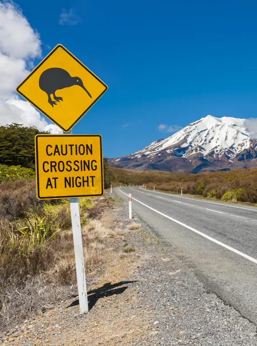 Vej i Tongariro New Zealand