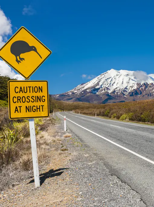 Vej i Tongariro New Zealand