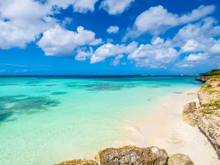 Aruba, Mangel Halto Beach
