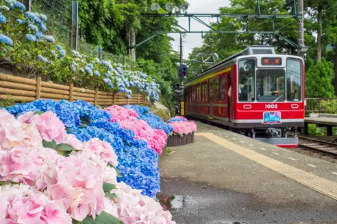 Oplev Hakone syd for Tokyo på rejser med DanExplore