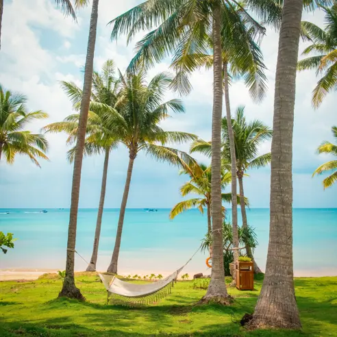 Phu Quoc Ø, Vietnam 2632779613 4