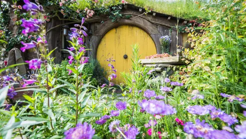Matamata Hobbiton New Zealand