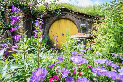 Matamata Hobbiton New Zealand