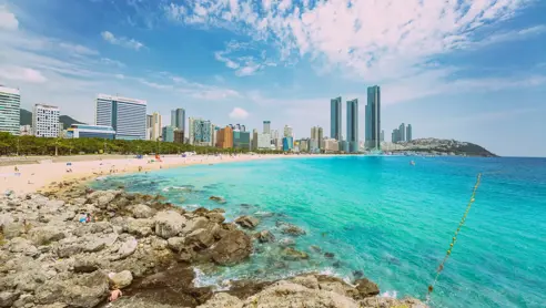 Rejser til Busan Sydkorea