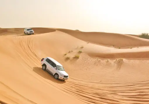 Ørken Safari