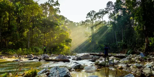 Rompin National Park Malaysia