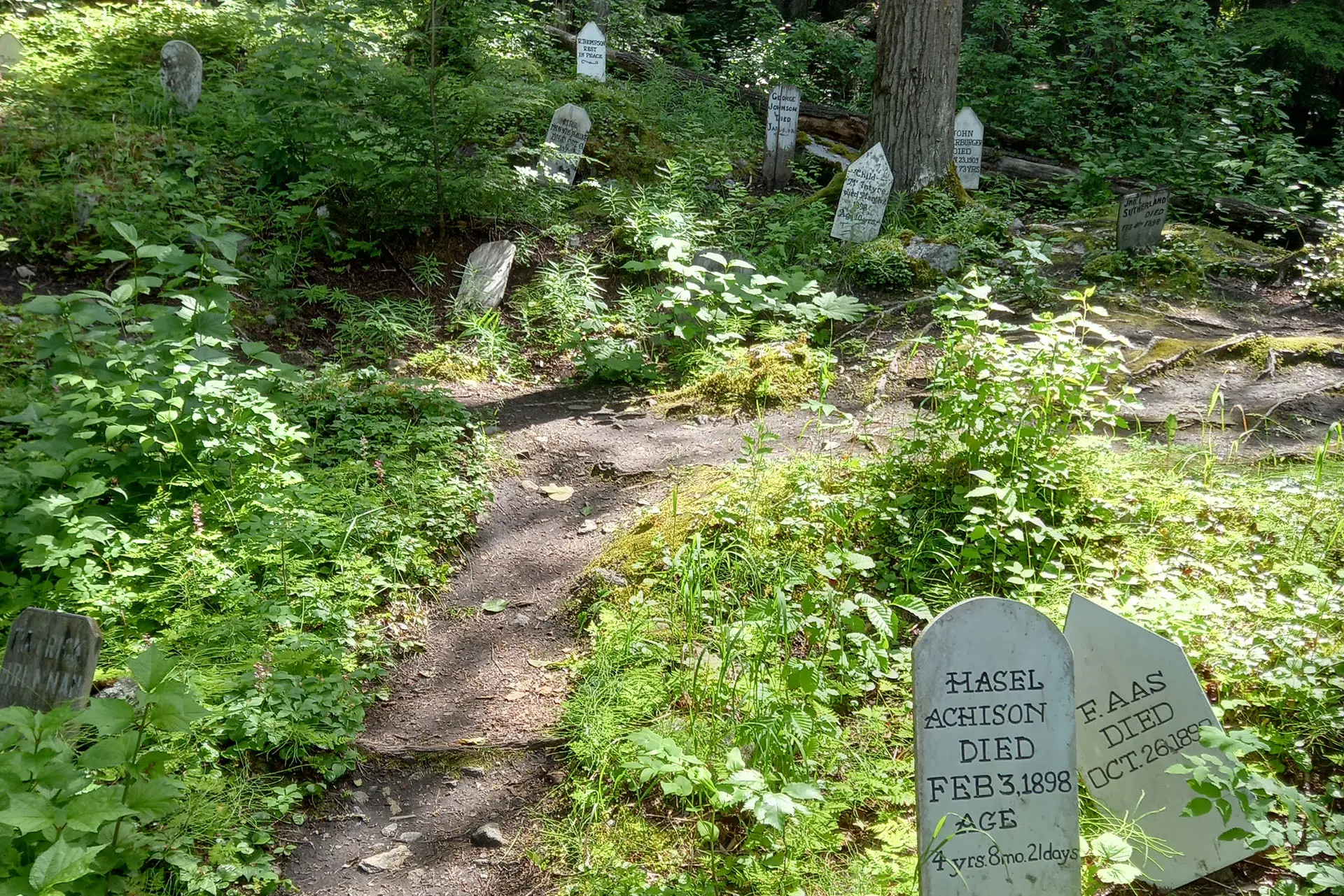 Web 20250714 115509
