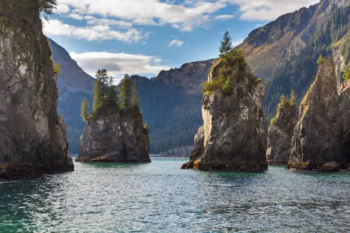 Kenai National Park Alaska USA