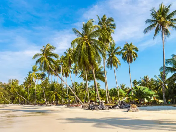Ao Phrao Beach