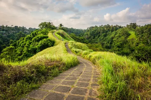 Campuhan Ridge Walk (3)