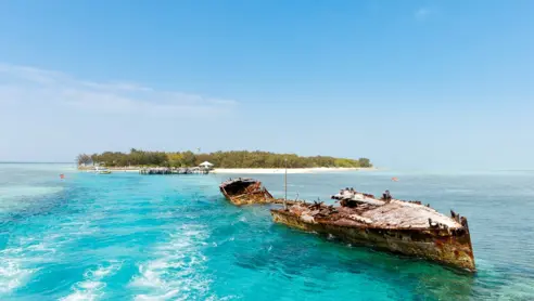 Australien Heron Island