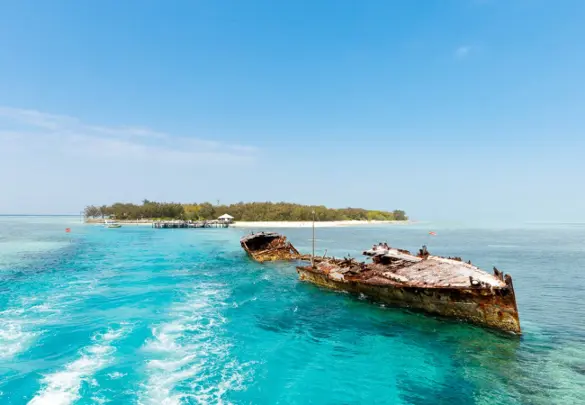 Australien Heron Island