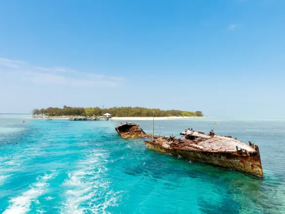 Australien Heron Island