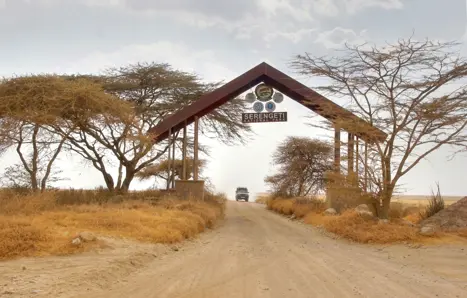 Serengeti National Park, Tanzania
