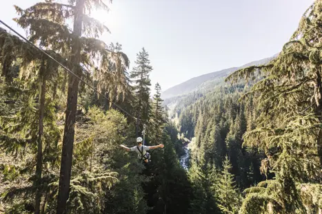 Whistler Ziptrek Bear Tour 5[1]