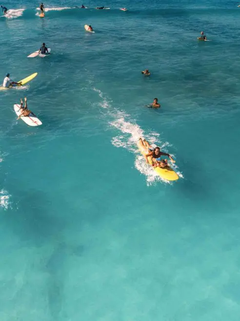 surfing-.jpg