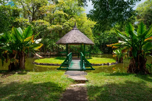 Botanical Garden Pamplemousses