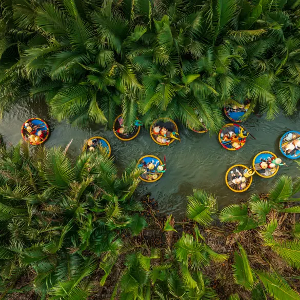 Basketboat Tours In Bay Mau Nipa Palm Forest