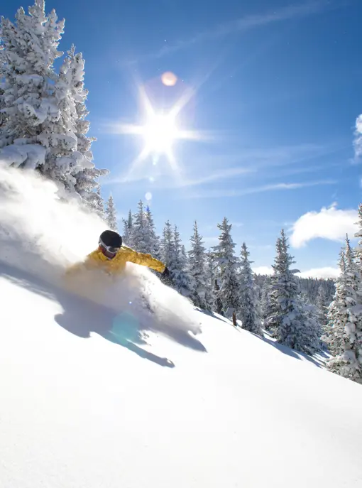 Skirejse Vail USA