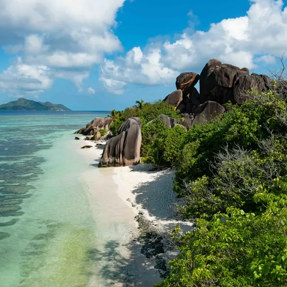 Anse Source D'argent (1)