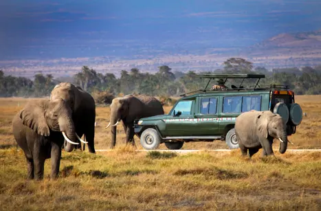 Afrika Kenya Safari